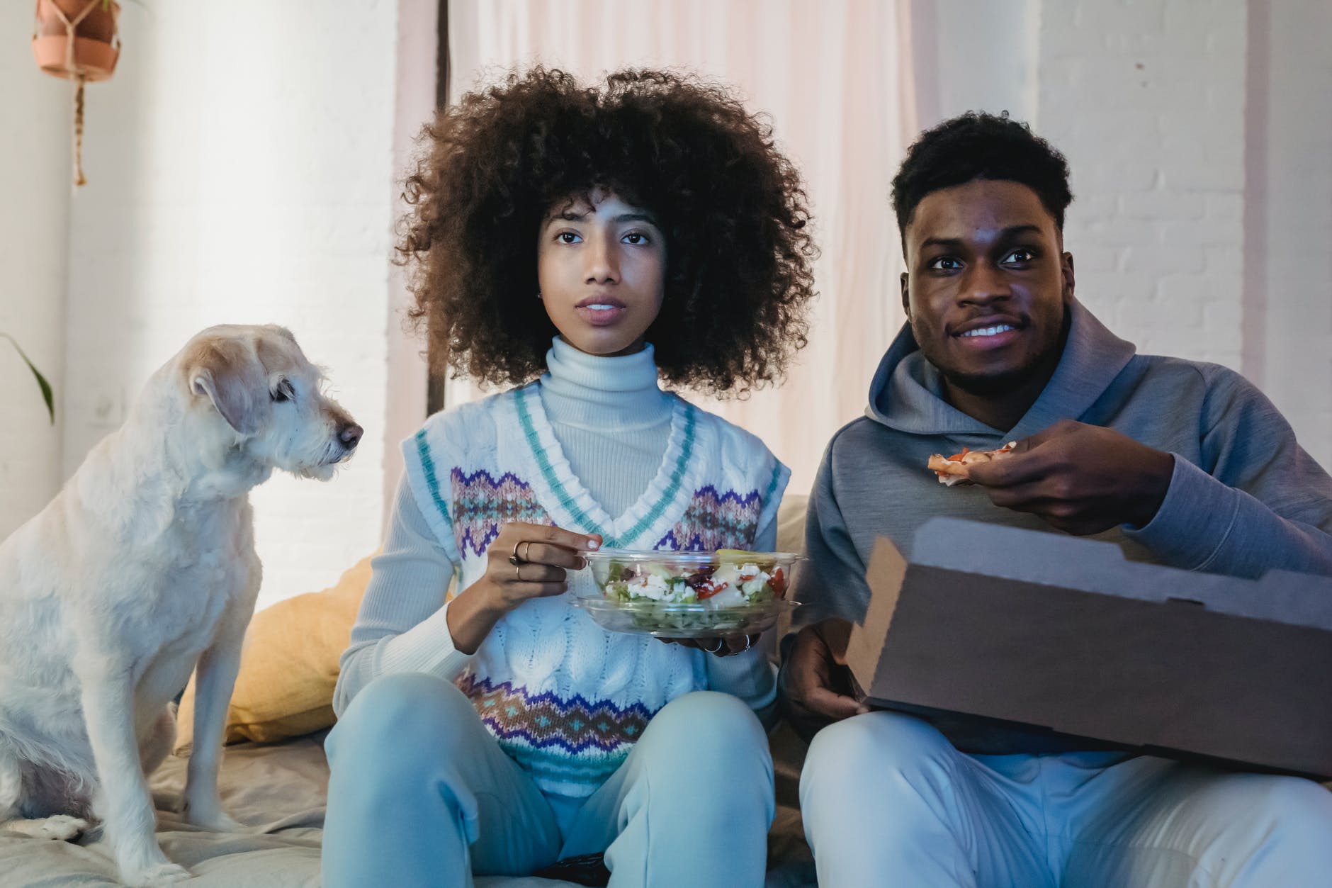 focused young black couple having lunch and watching tv on couch near curious dog